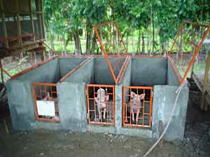 concrete pig pens