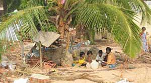 tsunami victims